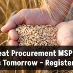 wheat-procurement-at-msp-will-start-from-tomorrow-in-mp-31st-march-last-date-for-registration