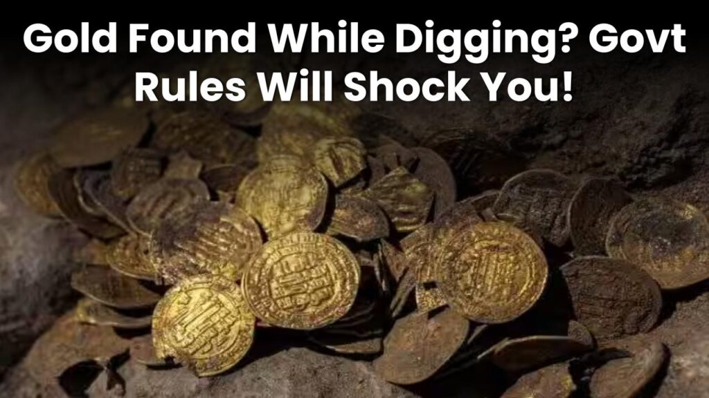 Found-gold-while-digging-who-owns-it-government-rules