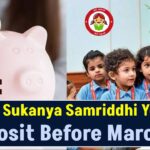 PPF & Sukanya Samriddhi Yojana: Keep Your Account Active by Doing This Before March 31!