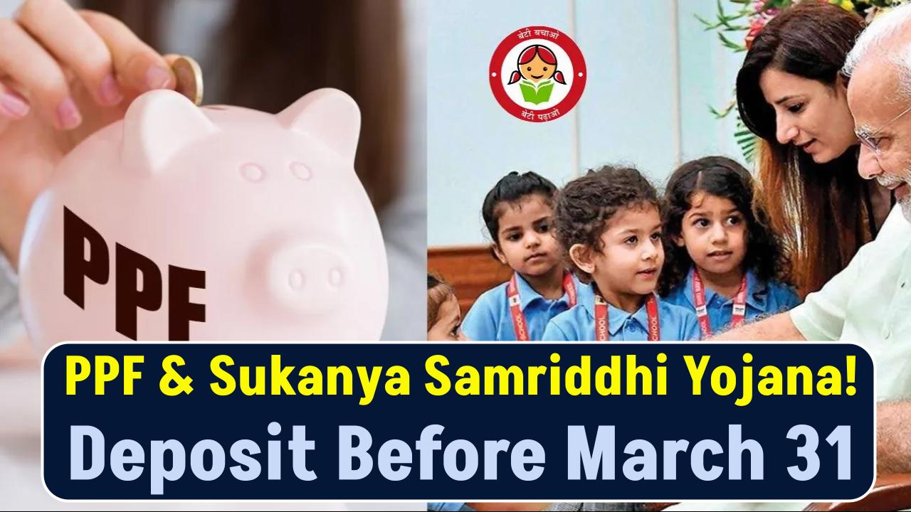 PPF & Sukanya Samriddhi Yojana: Keep Your Account Active by Doing This Before March 31!