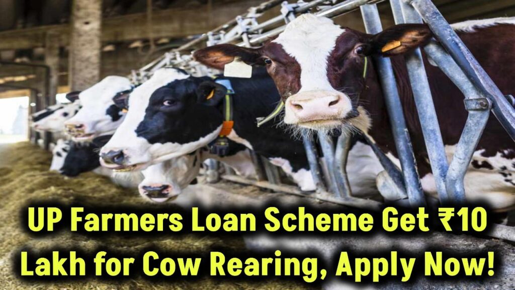 up-farmers-loan-scheme-10-lakh-for-cow-rearing-apply