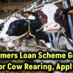 up-farmers-loan-scheme-10-lakh-for-cow-rearing-apply